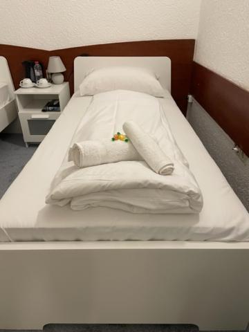 Hotel Starlight Frankfurt am Main Kültér fotó